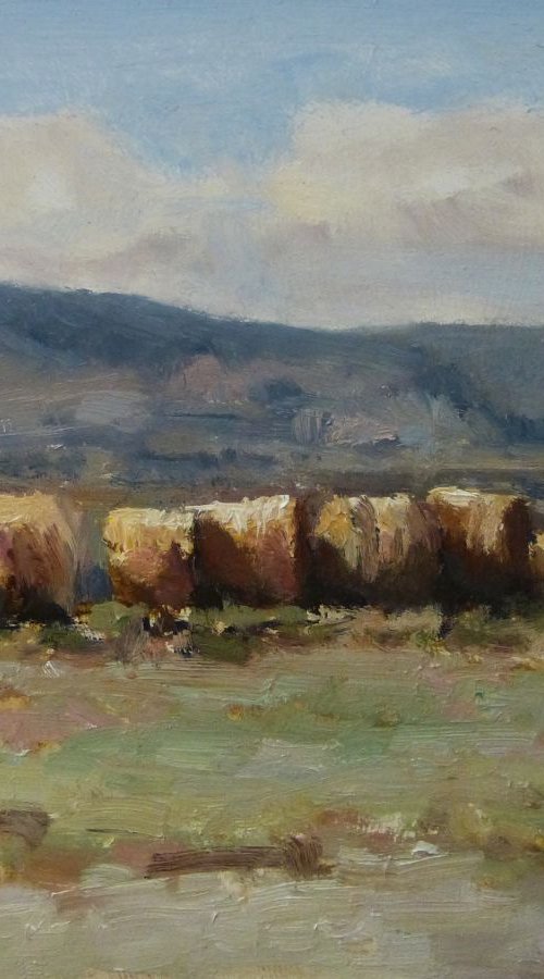 Hay Bales in Winter by Pascal Giroud
