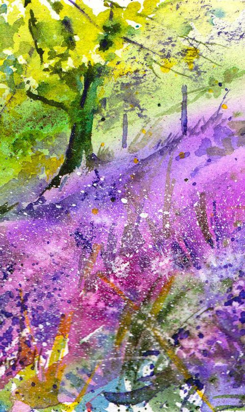 Bluebell wood 4 by Anjana Cawdell