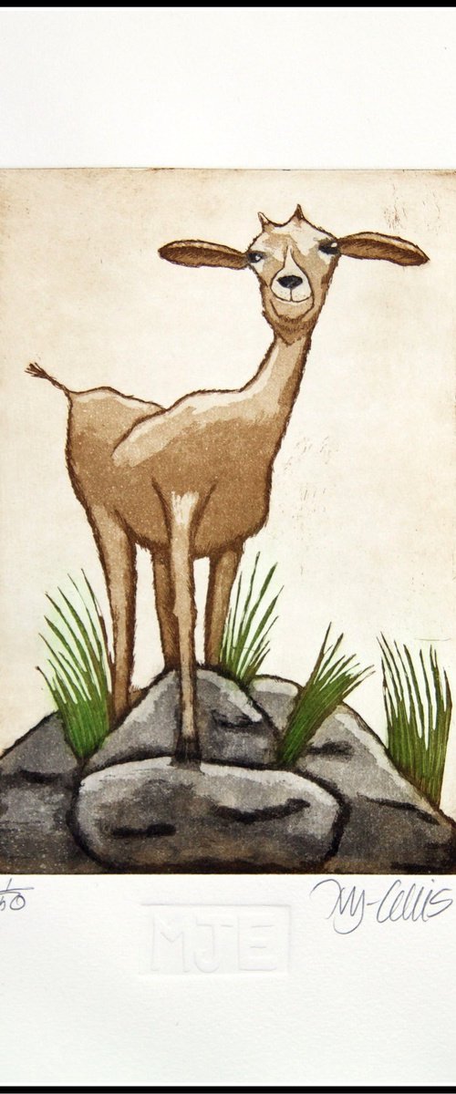 Just a little goat by Mariann Johansen-Ellis