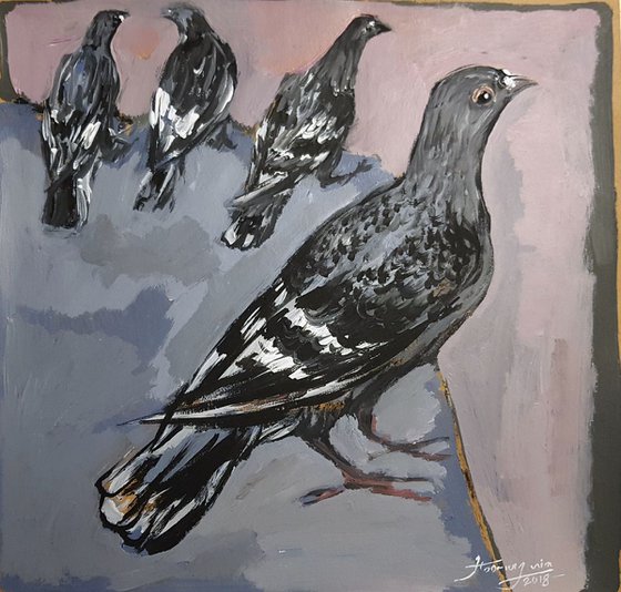 Pigeons 2