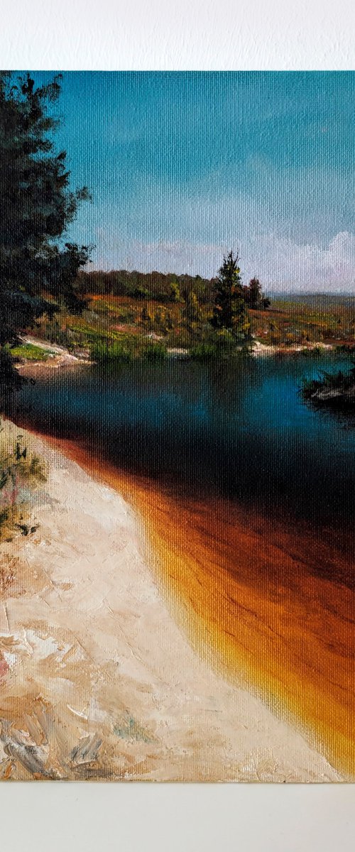Calm Afternoon by the River by Dmytro Lysenko