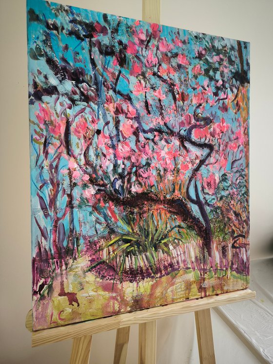 The Long-Awaited Magnolia