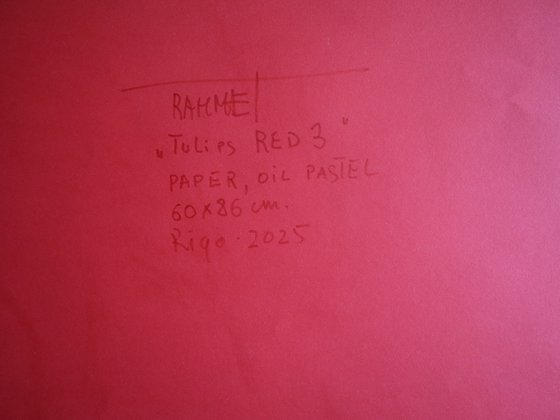 Tulips Red 3