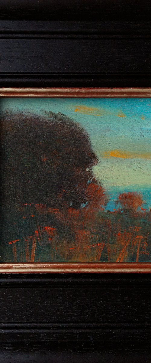 Before sunset - framed by Ayna Paisley