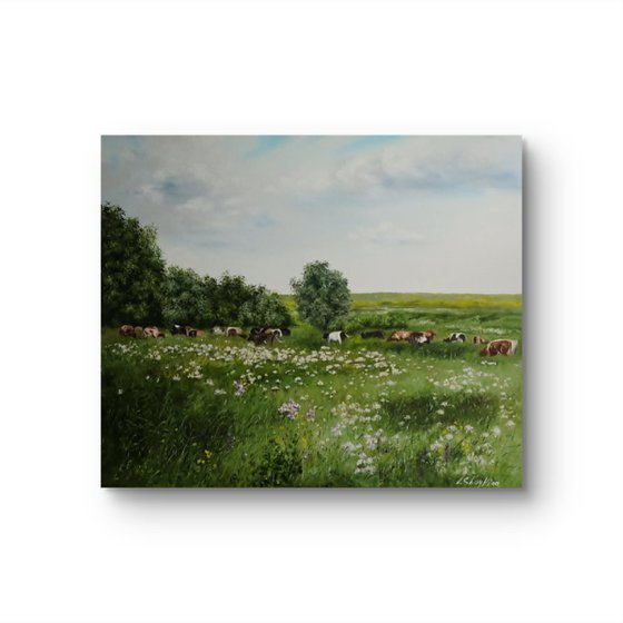 Cows Grazing in Wildflower Meadow