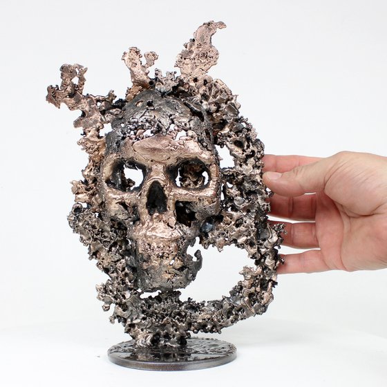 Skull mountain 51-22 - Skull in steel and bronze on a lace metal