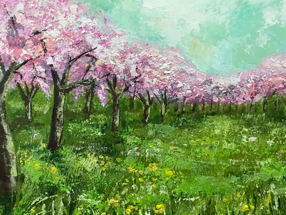 Orchard in Spring