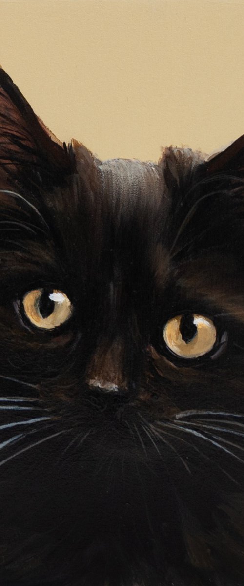 Midnight Cat by Norma Beatriz Zaro