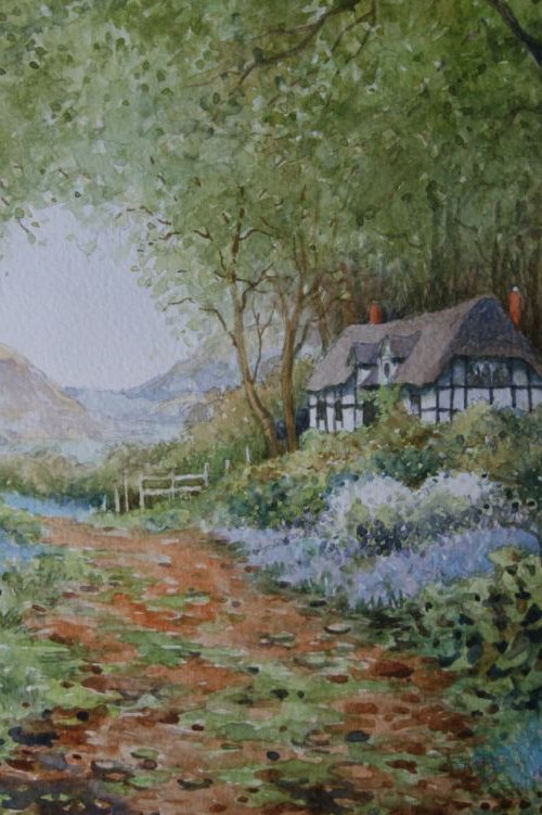 Bluebell Cottage by Christopher Hughes