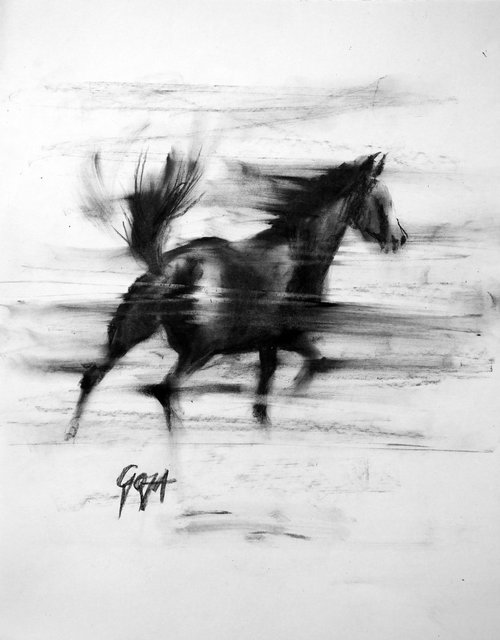 RUNNING HORSE by Nicolas GOIA
