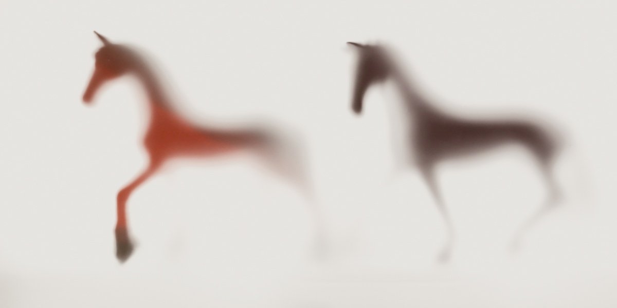 Abstract Animal Photograph By Sven Pfrommer, 55 X 28", Wild Lens - Horses Xiv, Original Artwork