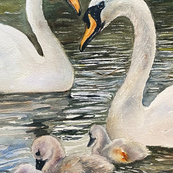 Happy Together_Swan Family
