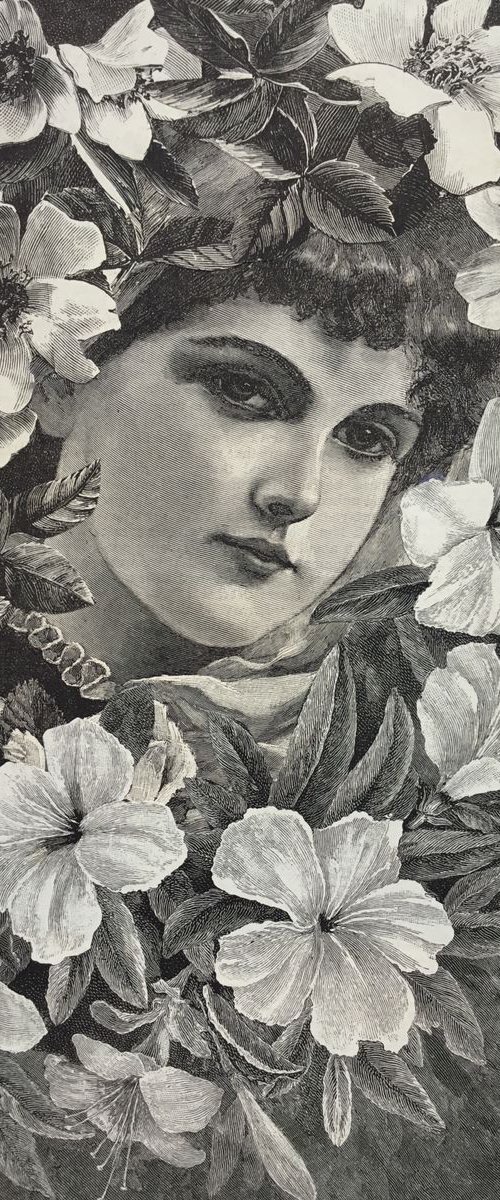 Face in the Flowers by Tudor Evans
