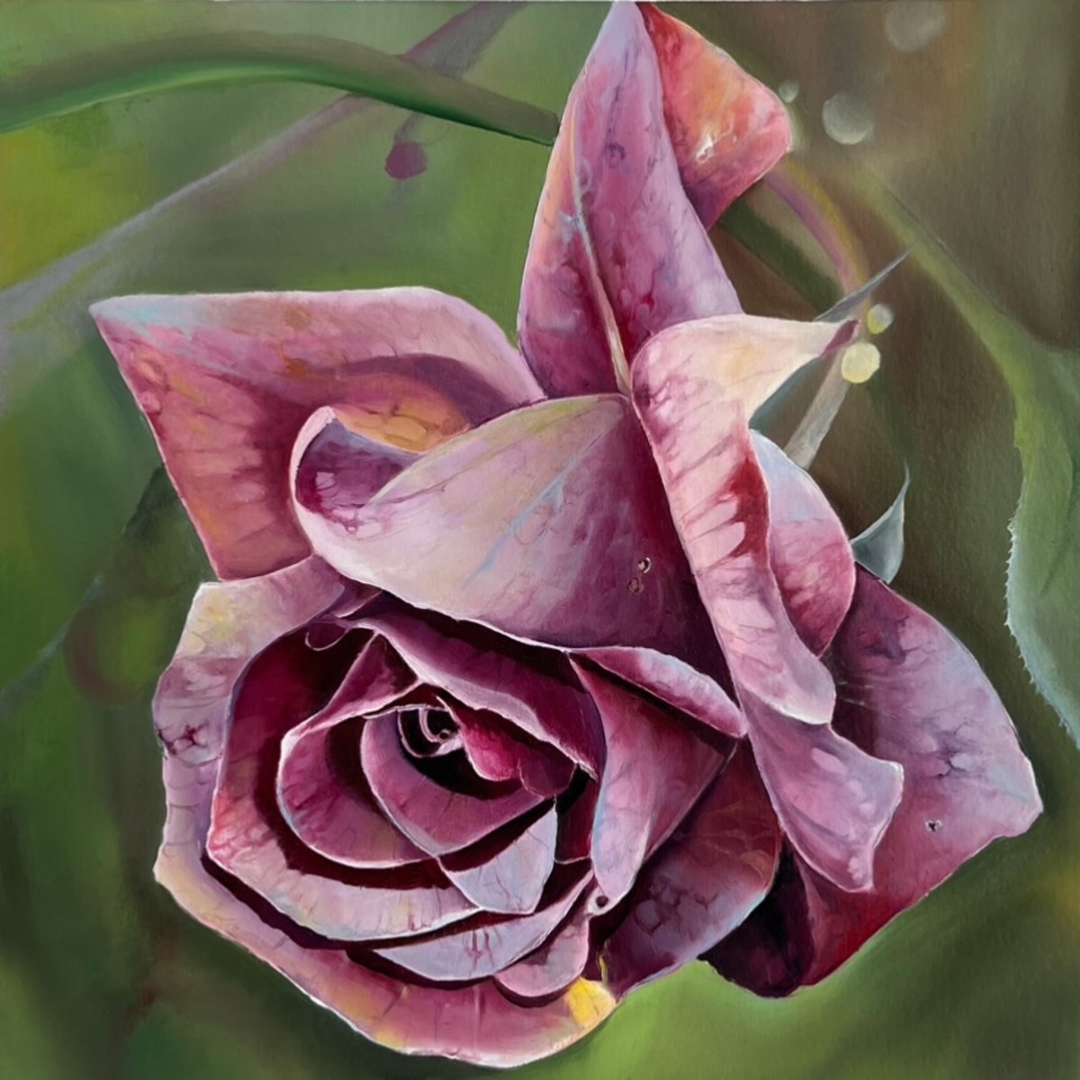 Photorealistic Oil Painting , Pink Rose By Myroslava Denysyuk, 12 X 12, Artwork For Sale On Artfinder