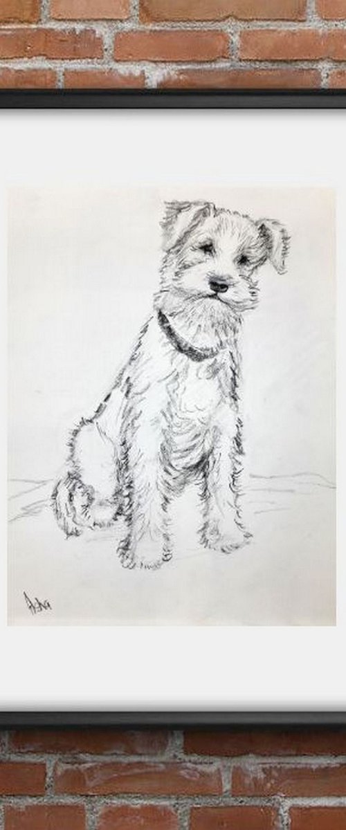Wire fox Terrier Pet Dog by Asha Shenoy