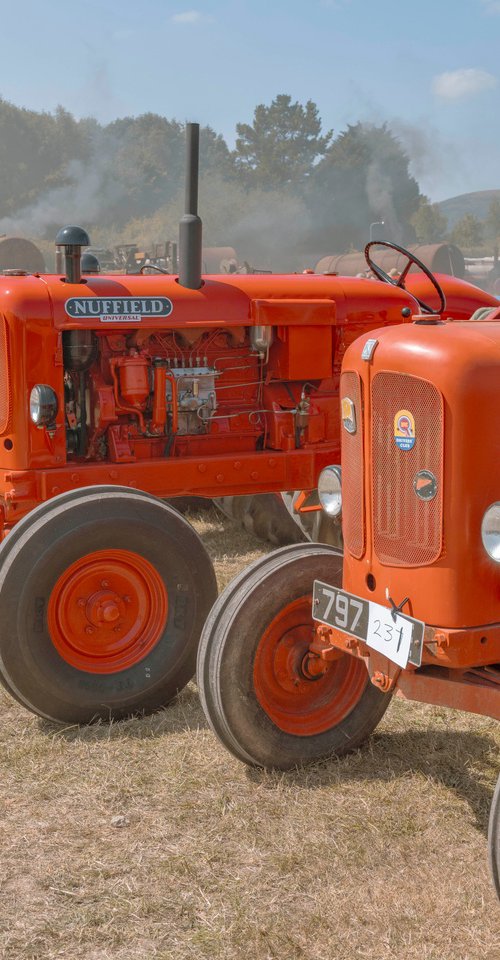 Tractors by Anna Bush