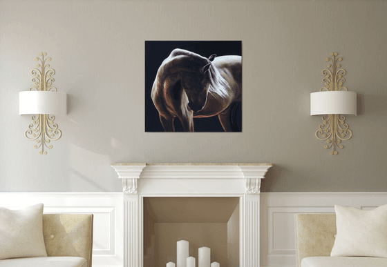 Equine light