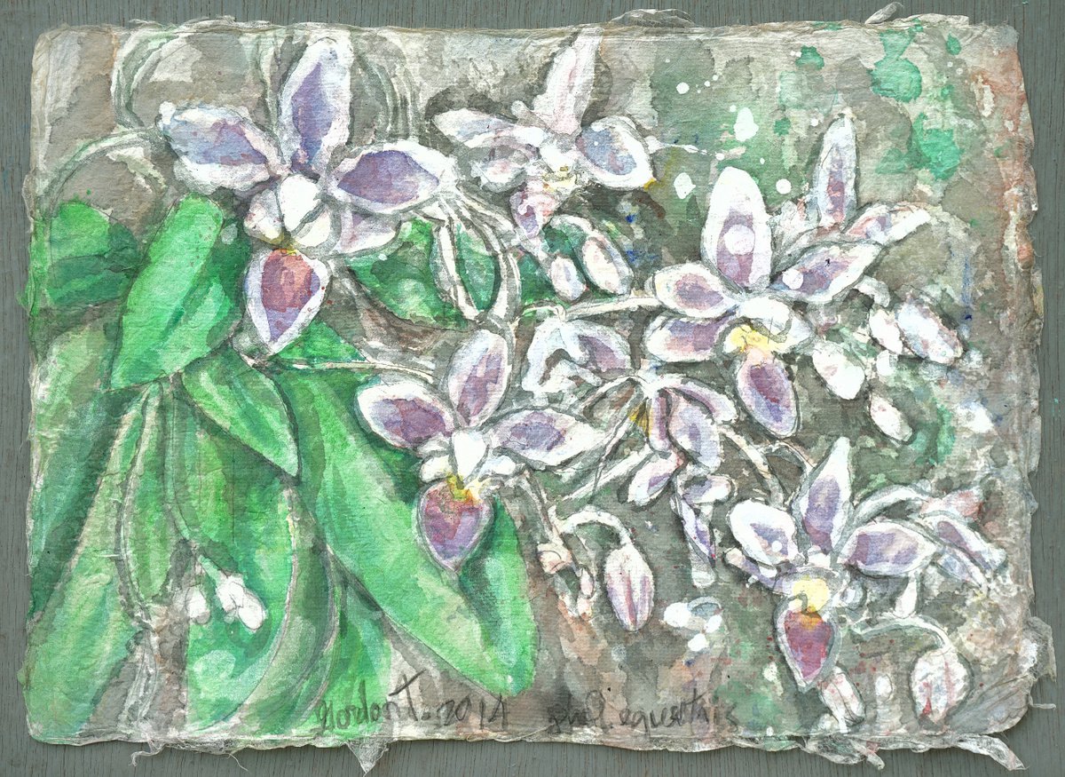 Expressive Botanical Acrylic Painting By Gordon T., 14 X 10, Phal. Equestris, Original Artwork