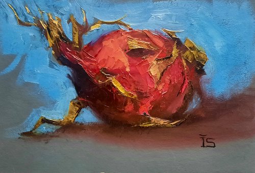 Dragon Fruit by Irina Sergeyeva