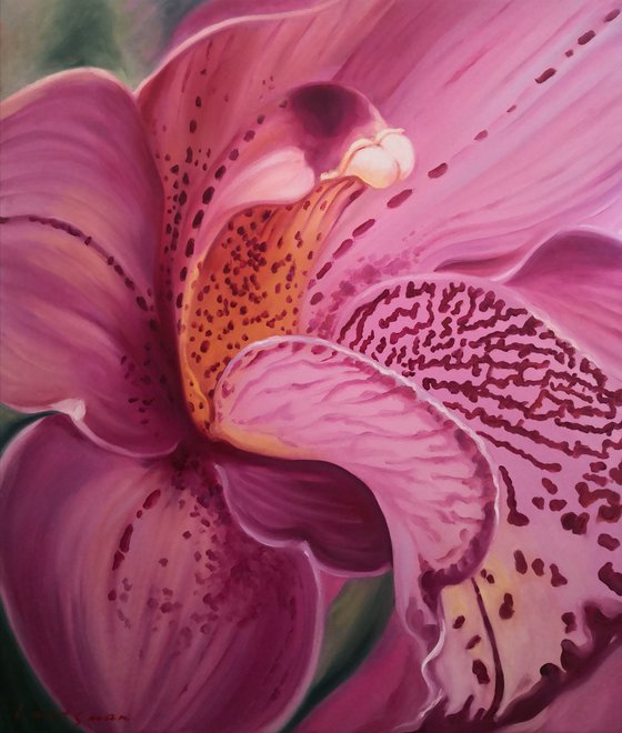 Orchid - a flower of passion, number 3