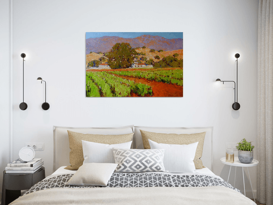 Southern California Vineyards
