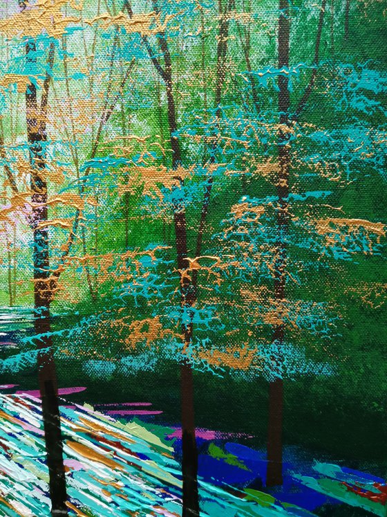 Secret Forest Shadow and Light