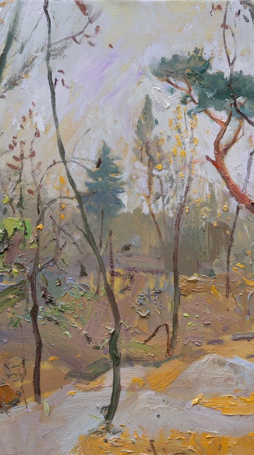 Late autumn by Victor Onyshchenko
