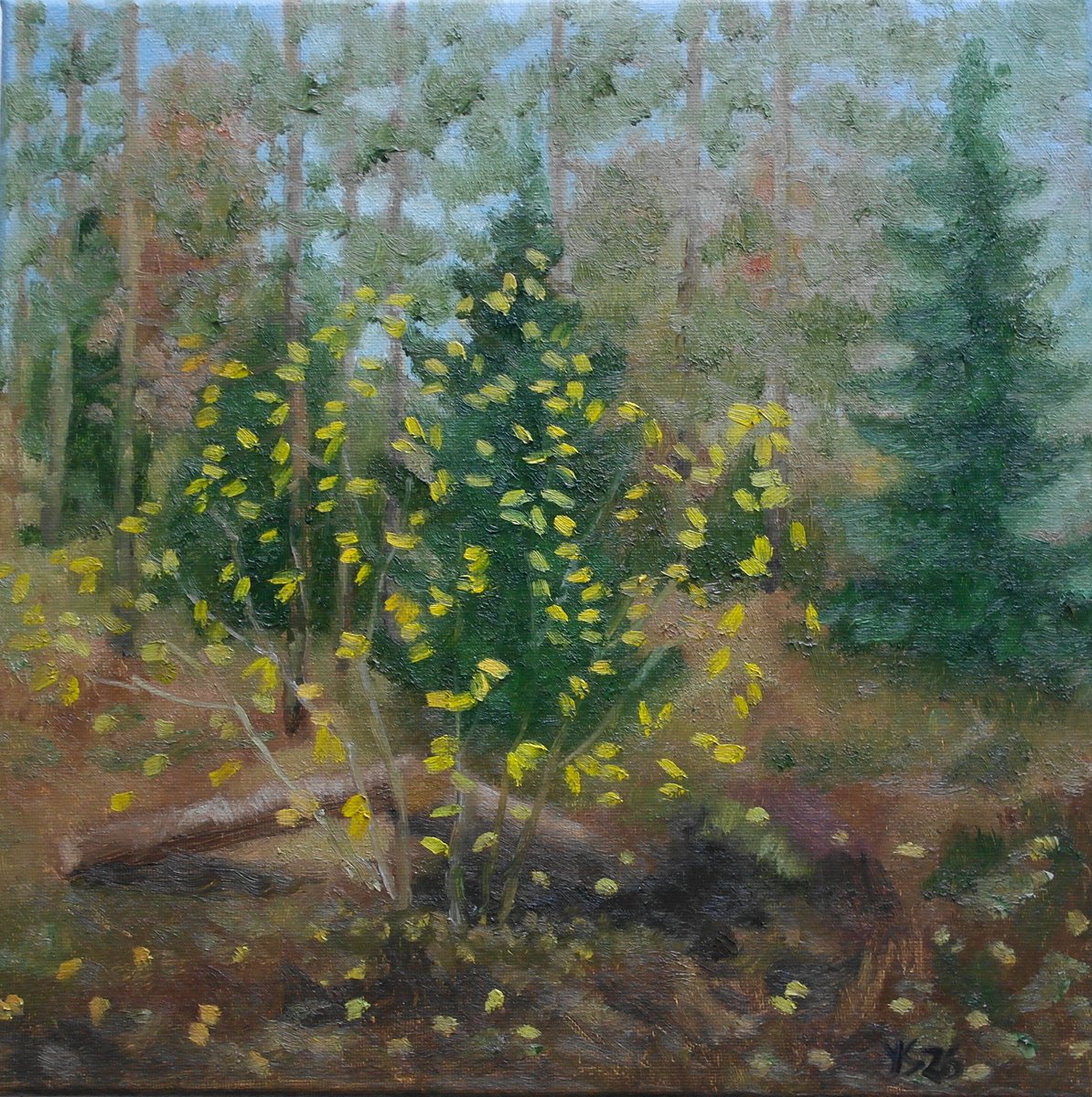 Autumn Forest By Juri Semjonov, 12 X 12, Artwork For Sale On Artfinder