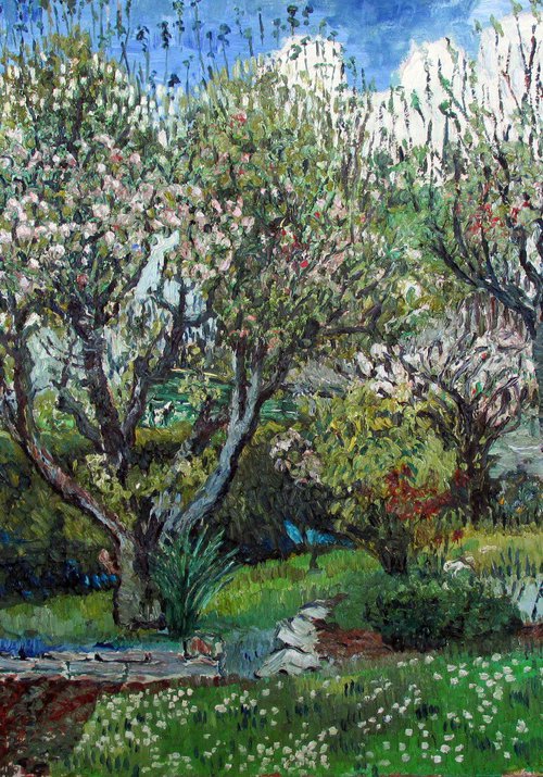 A Cornish garden in Wadebridge by Richard Meyer