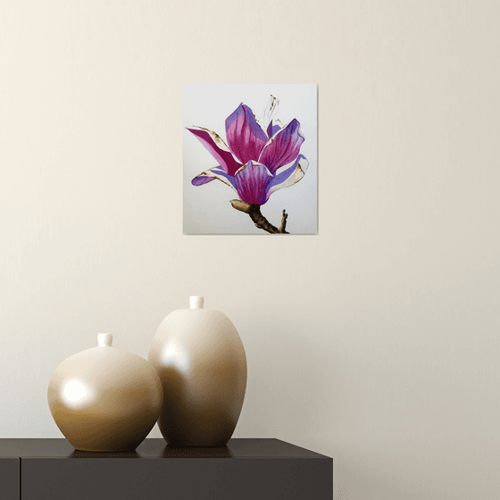Pink magnolia with shadows