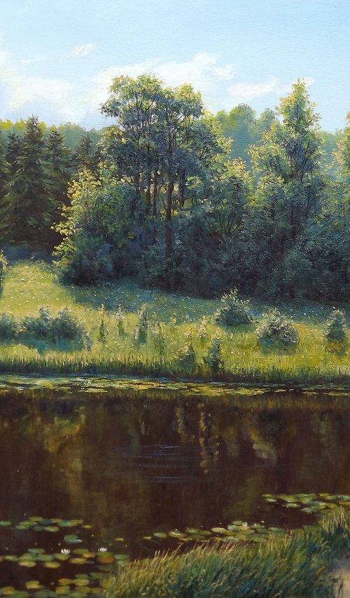 Afternoon on the river by Oleg Riabchuk