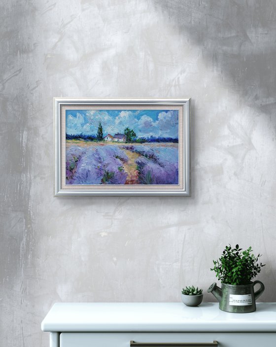 Lavender Dreams