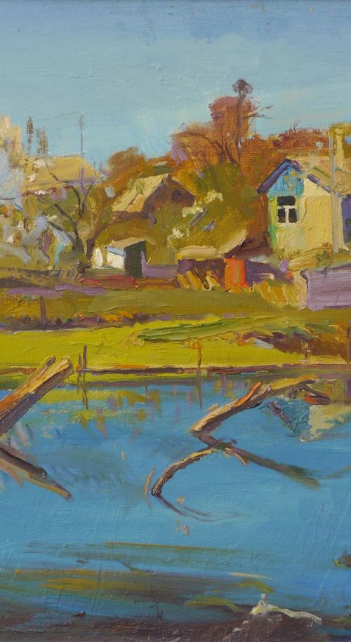 Spring at Leskovitsa by Victor Onyshchenko