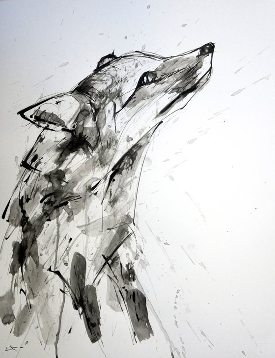 FOX, EXPRESSIVE INK drawing