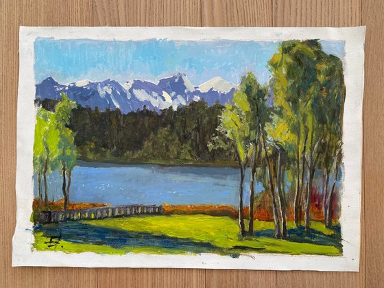 Wildsee Landscape