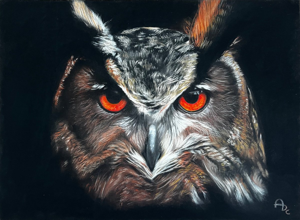 Photorealistic Pastel Drawing , Amber Gaze - Owl Portrait By Angelo Di Carlo, 16 X 12, Artwork For Sale On Artfinder