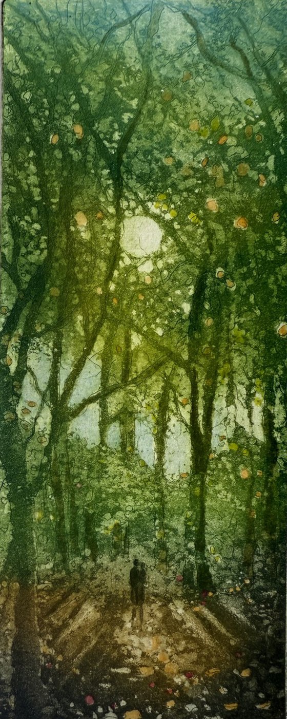 Autumn Walk