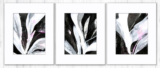 Elemental Wonders Collection 5