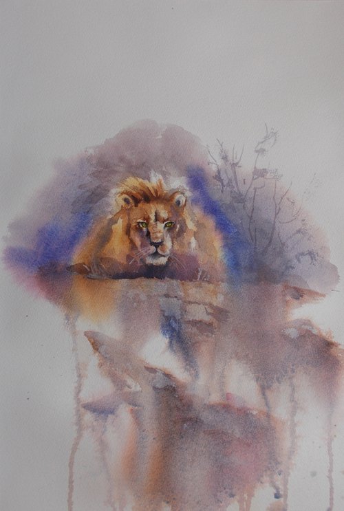 lion 3 by Giorgio Gosti