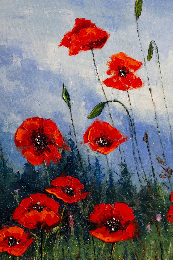 Red flowers , poppies