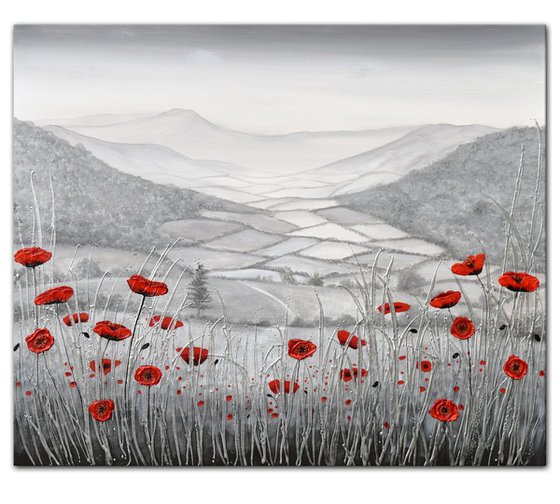 Poppies in the Valley