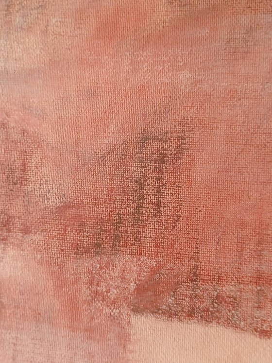 Percheron Stallion Study