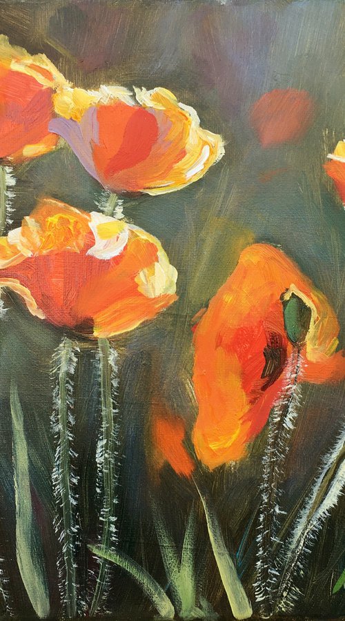 Poppies 2 by Elena Sokolova