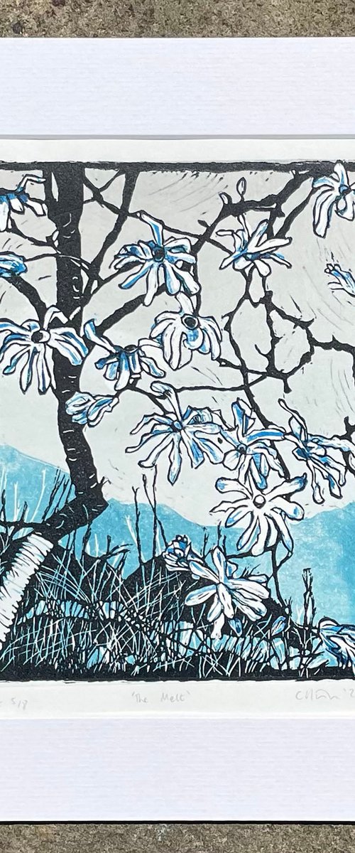 Linocut Print - The Melt - Magnolia Blossom Contemporary Print by C Staunton