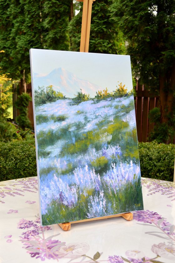Wild lavender in the haze of the morning sun