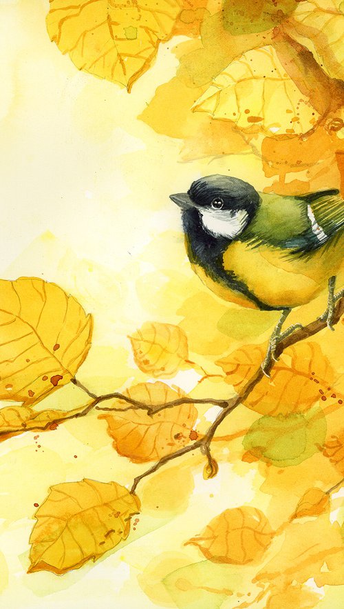 Great tit in golden autumn by Karolina Kijak