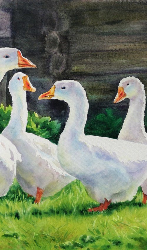 White Geese watercolor by Olga Beliaeva Watercolour