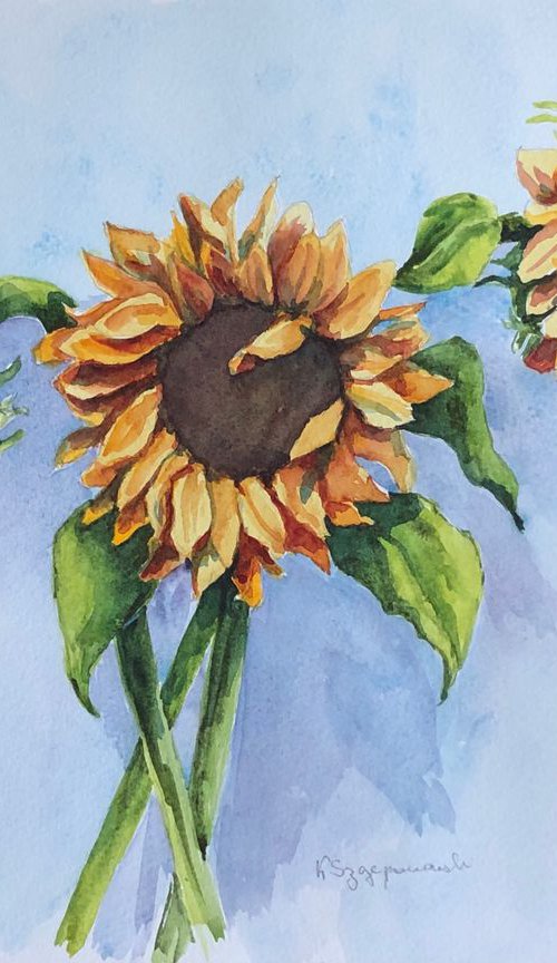 Sunflowers by Krystyna Szczepanowski