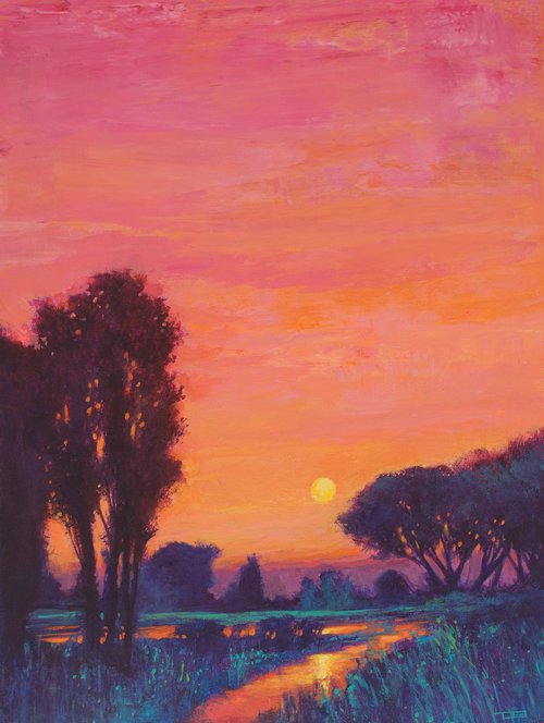Pink Glow Sunset 240114 by Don Bishop