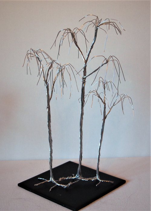 Silver tree, 3 willows by Steph Morgan